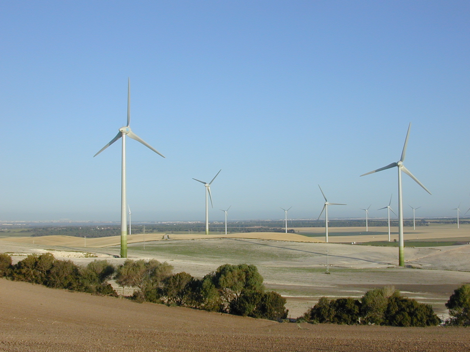 Cortijo de Guerra II
